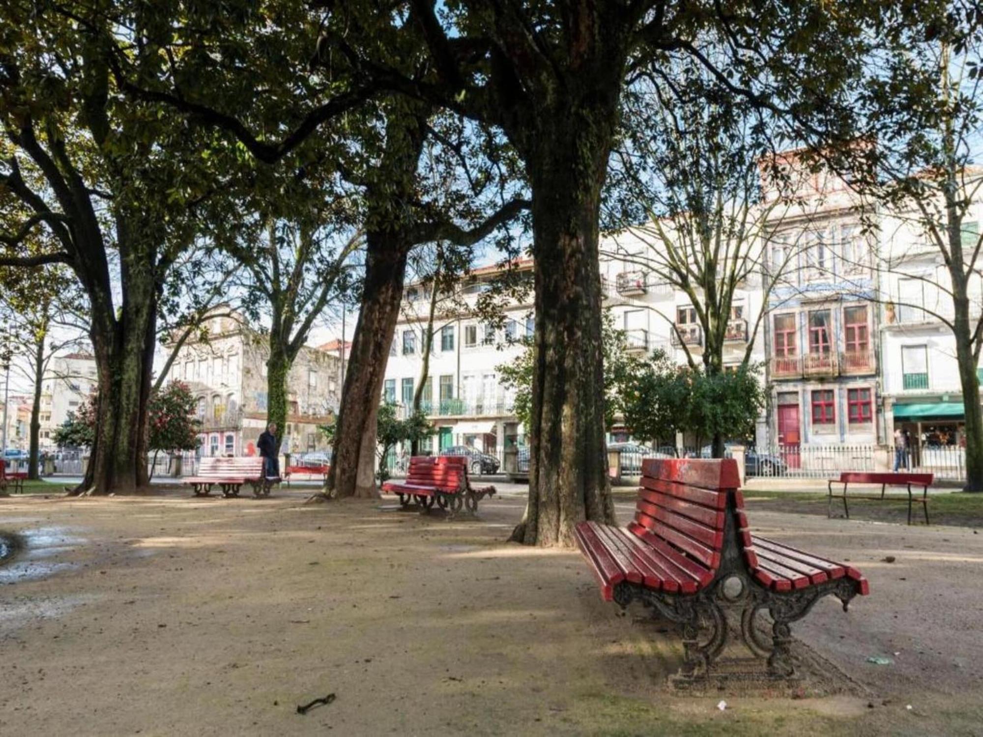 Apartment Charming 1-bedroom In *